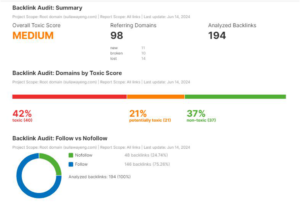 SEO audit case study